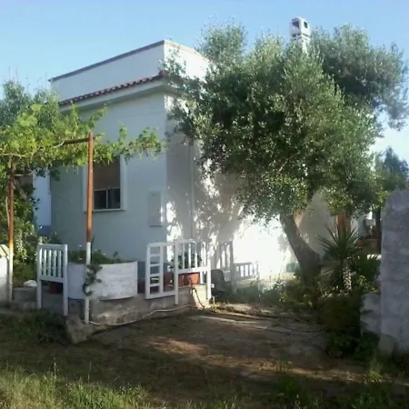 D'arte Vila